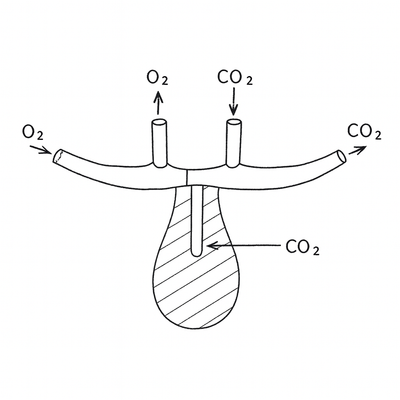 Nasal/Oral Dual CO₂ Cannula with O₂ Delivery with Male Luer Lock Connection, Adult 7' - Pack of 10